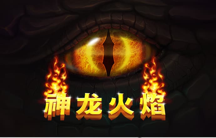 五五世纪官网